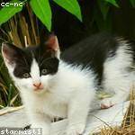 Minnie Crist Profile Picture