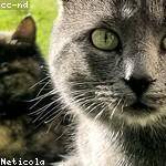 Loy Bruen Profile Picture