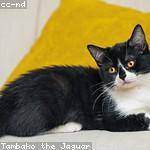 Florencio Hyatt Profile Picture