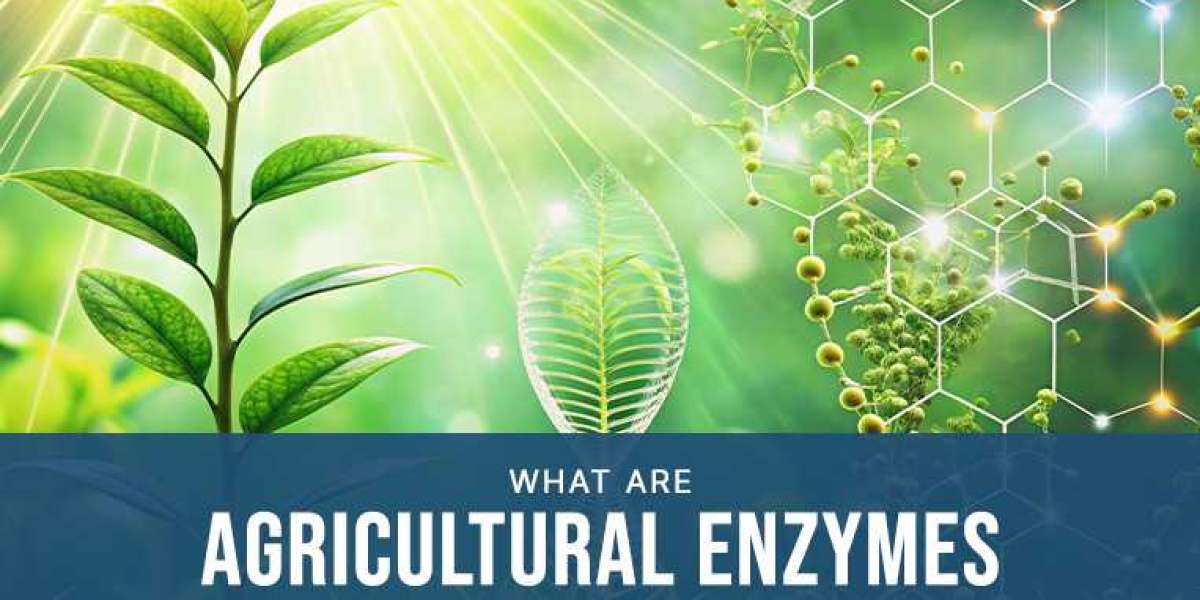 Agricultural Enzymes Market Research Report: Global Industry Overview 2026