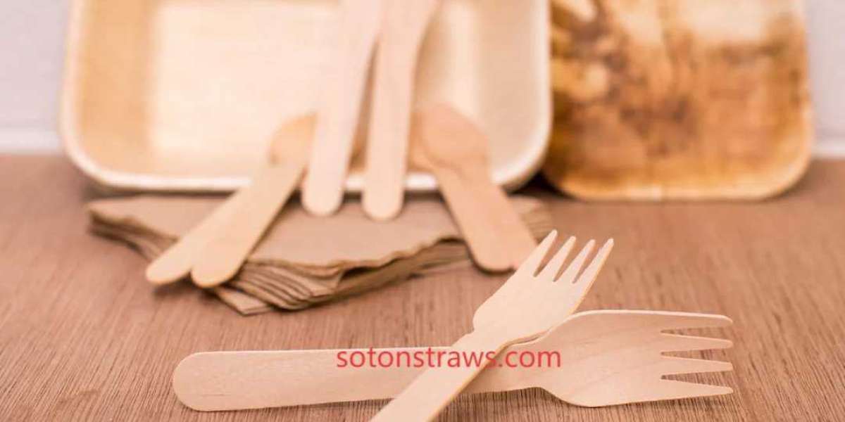 Discover Soton Advancing Eco-friendly Cutlery Manfuacturer Innovation
