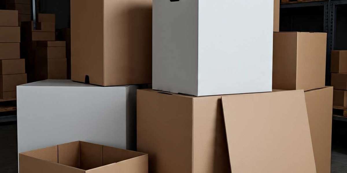 Corrugated Packaging Solutions: Engineering Strength, Versatility, and Value