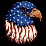 ITIN Express Profile Picture