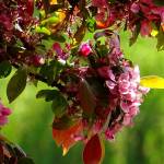 emma verghise Profile Picture